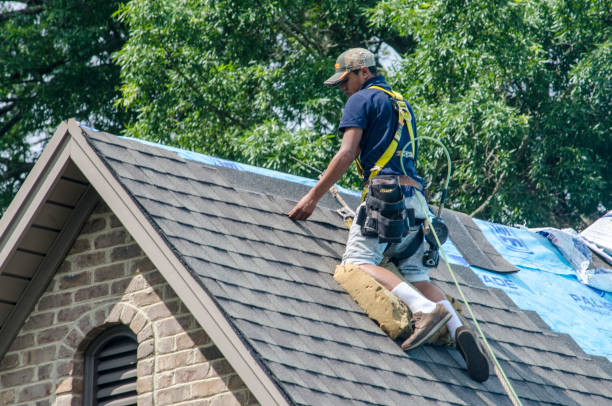 Best Roof Waterproofing Services  in Oli, PA
